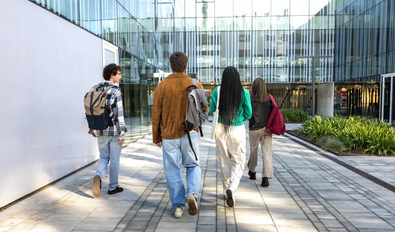 The revised CUC Higher Education Code of Governance: A guide for universities
