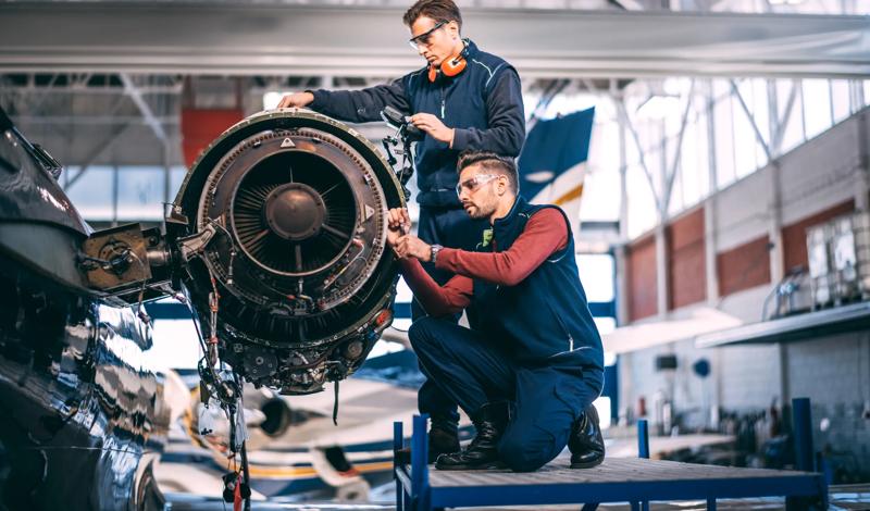 Intellectual property protection and licensing