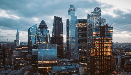 Insurance Insights: The Word, May 2026