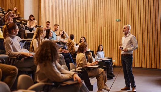 Pause to go faster: What a vice-chancellor learned about leading when you can't fix it