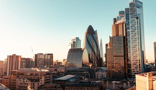 Insurance Insights: The Word, January 2026