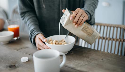 Beyond consumer confusion: Statutory bars on dairy terminology