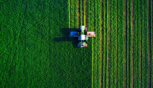 Food for Thought: Food and drink regulatory update: Spring 2026