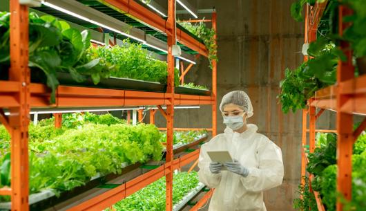 Alternative proteins: The regulatory horizon is shifting - are you ready?