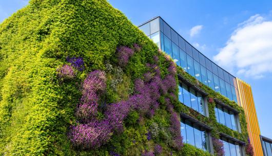 Net Zero and Sustainability: Re-imagining the education estate for higher and further education providers