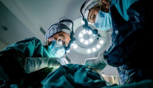 Healthcare insurers and indemnifiers: Post-2025 litigation learning