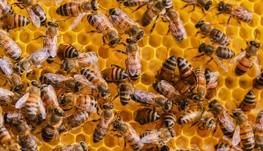 ASA monthly insights December 2025: Rulings you need to know about 