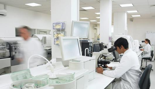 The UK as a global life sciences hub: Legal infrastructure and innovation policy