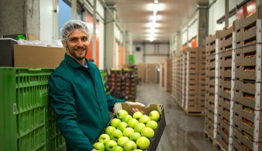 Sanitary and phytosanitary (SPS) agreement: Updates to guidance