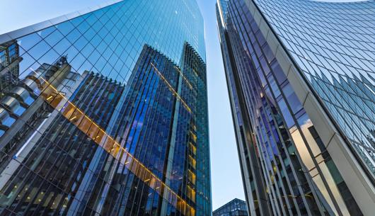 Insurance insights: The Word, July 2026
