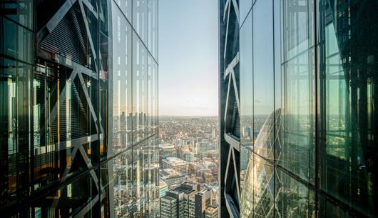 Insurance insights: The Word, August 2026