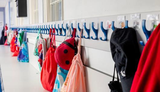 New allergy and medical conditions guidance: What schools need to know