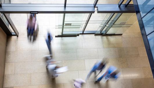 From restoration to revenue: Unlocking the strategic value of Biodiversity Net Gain for NHS estates