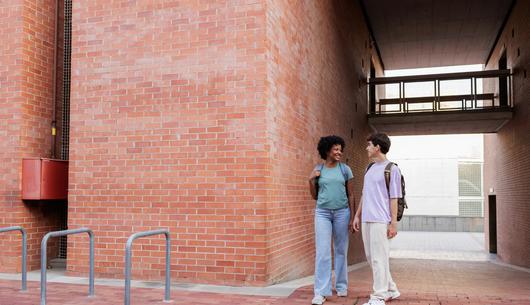 The revised CUC Higher Education Code of Governance: A guide for universities