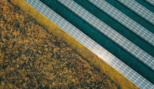 From restoration to revenue: Unlocking the strategic value of Biodiversity Net Gain