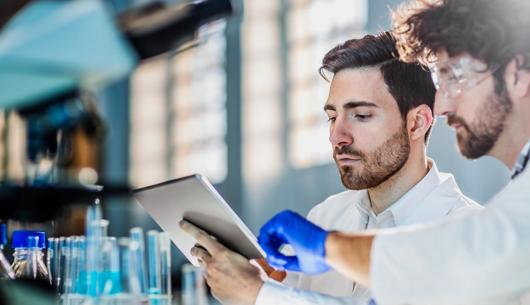 Data governance and innovation in life sciences: Key issues arising in regulatory compliance, cybersecurity and AI agents