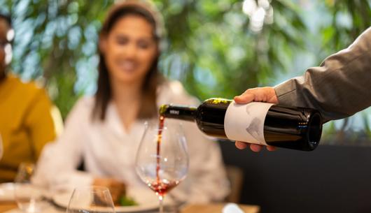 Auditor negligence and causation: Wine Enterprise Investment Scheme Ltd v Crowe UK LLP