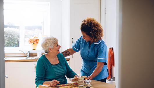 Neighbourhood health framework: Initial observations for social care clients
