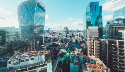 Insurance Insights: The Word, February 2026