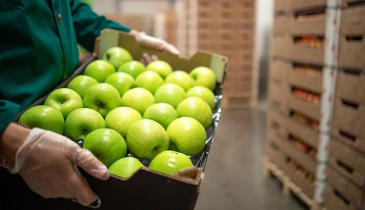 ASA monthly insights March 2026: Rulings you need to know about 